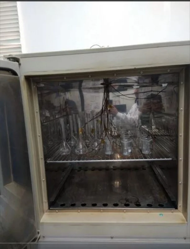 Empresa de qualificação térmica de estufas de secagem